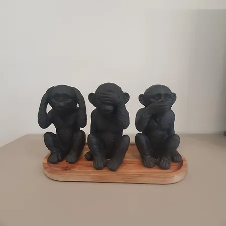 Divalla 布尔加斯