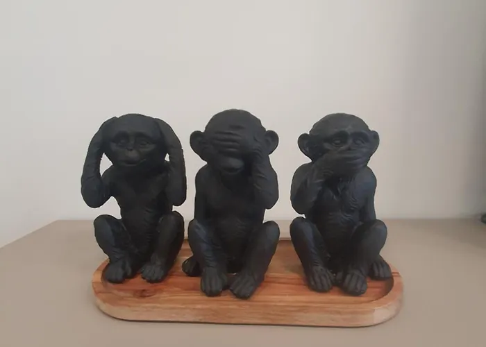 Divalla Бургас